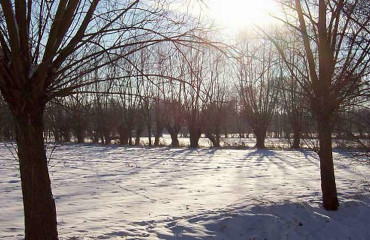 Winterlandschaft - wie im Märchen Frau Holle