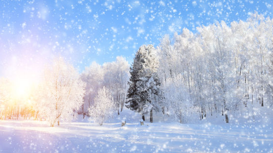 Ein kleiner Eichenbaum wächst in einer Hand - Entwicklung in der Partnerschaft