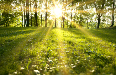 Ein Weg ins Licht und Erkenntnis