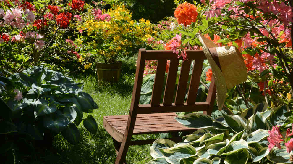 Stuhl im Garten voller blühender Blumen - wohlfühlen in der Praxis Holger Neumann Paderborn